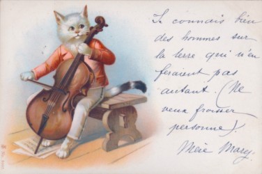 ANONYMOUS - Chat violoncelliste